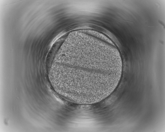 X0000101480858200808041127