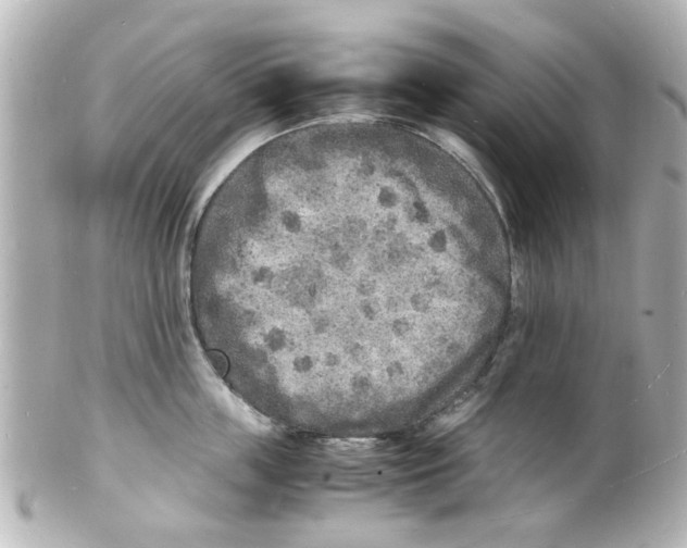 X0000101480859200808041127