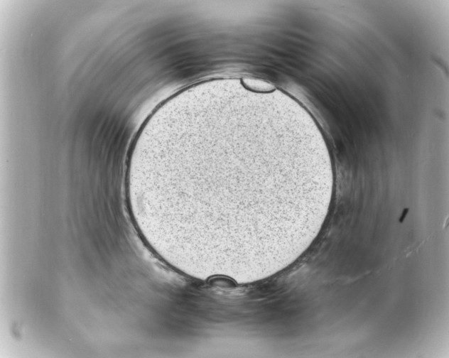 X0000101480861200808041127