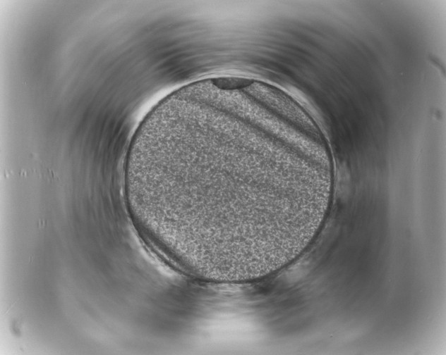 X0000101480862200808041127