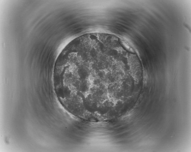 X0000101480863200808041127