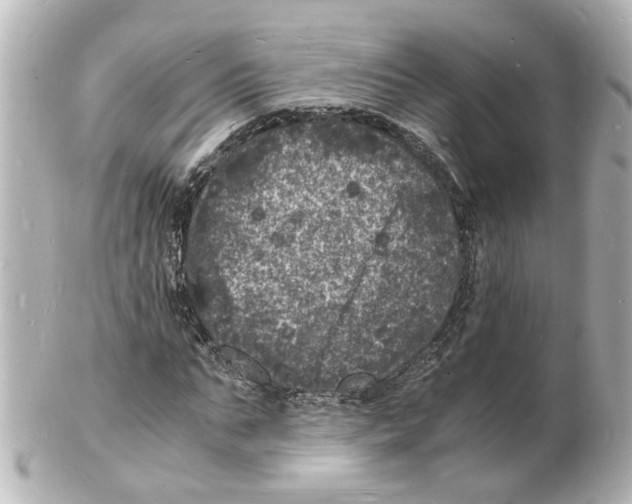 X0000101480871200808041126