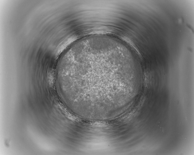 X0000101480874200808041126