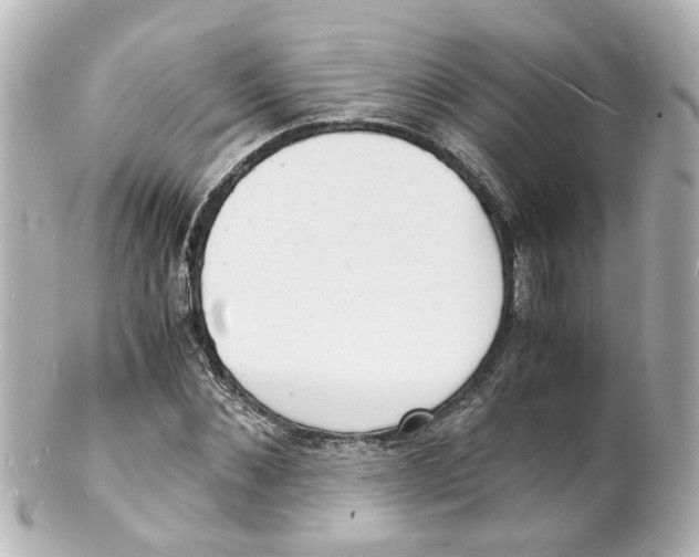 X0000101480876200808041126