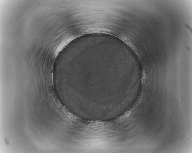 X0000101480877200808041126