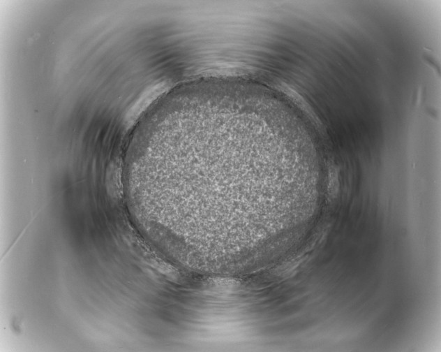 X0000101480878200808041126