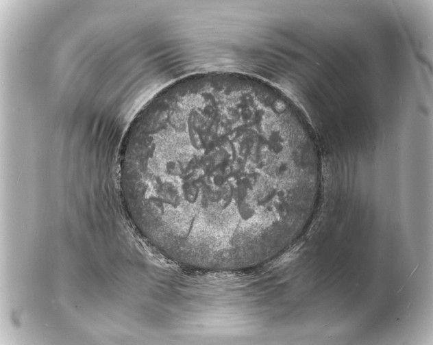 X0000101480879200808041126