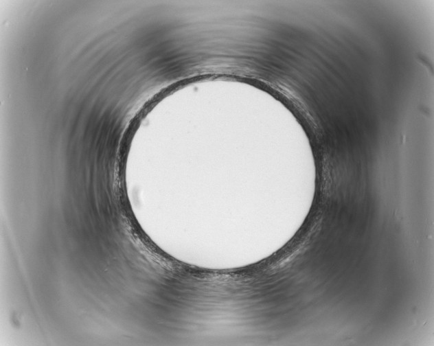 X0000101480880200808041126