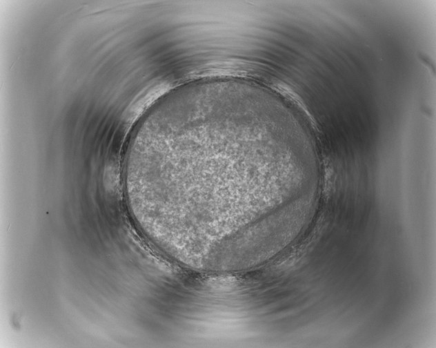 X0000101480882200808041126