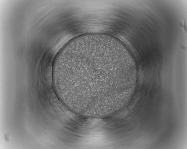 X0000101480886200808041126