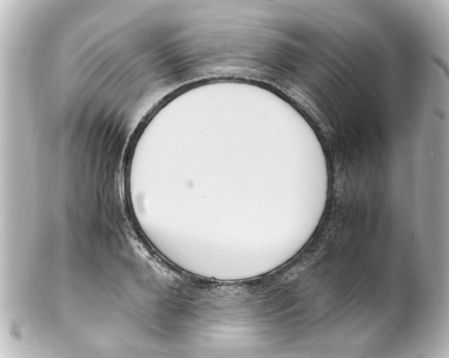 X0000101480888200808041126