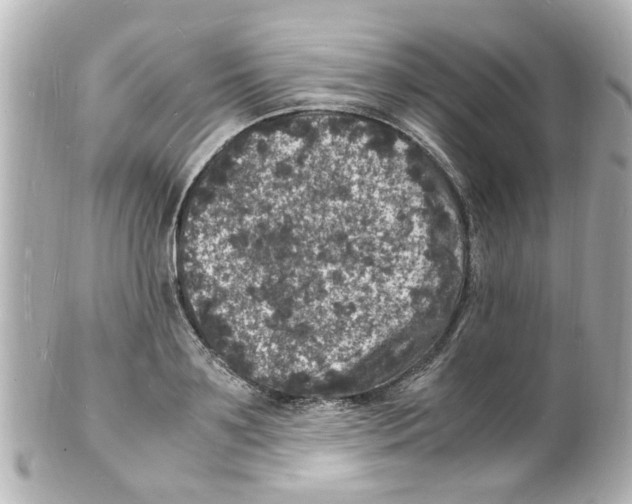 X0000101480891200808041126