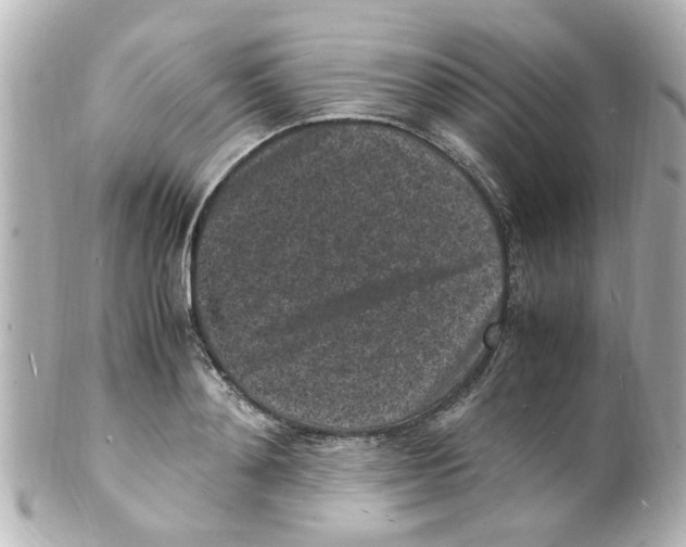 X0000101480892200808041126