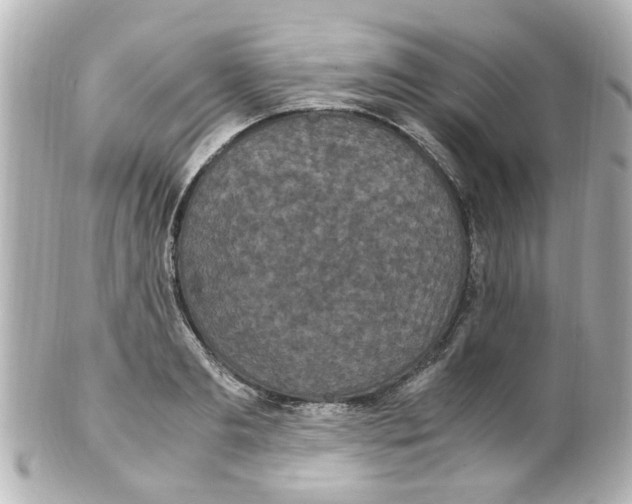 X0000101480893200808041126