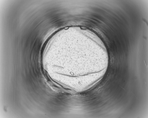 X0000101480894200808041126