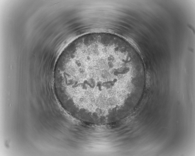 X0000101480895200808041126