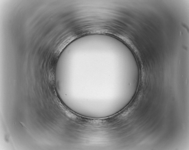 X0000101480897200808041126