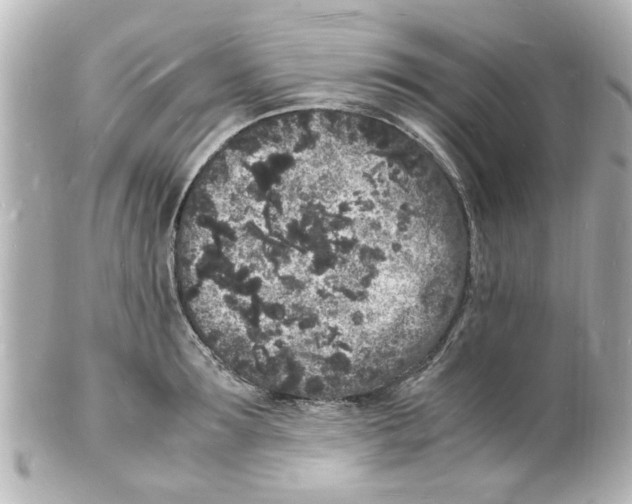 X0000101480899200808041125