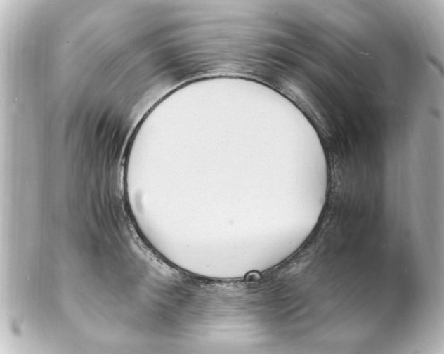 X0000101480900200808041125