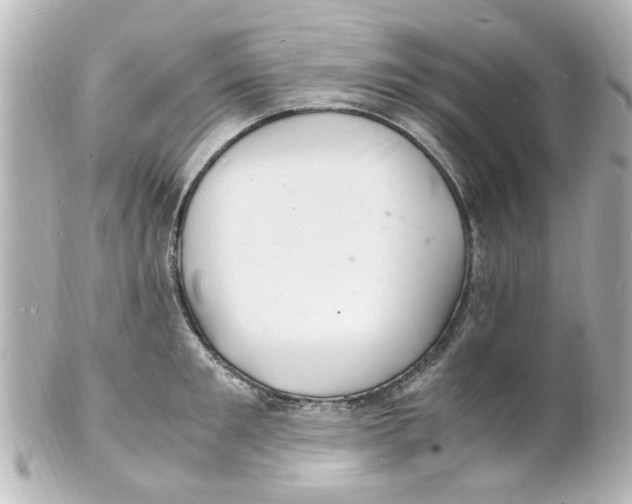 X0000101480901200808041125