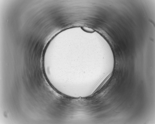 X0000101480902200808041125