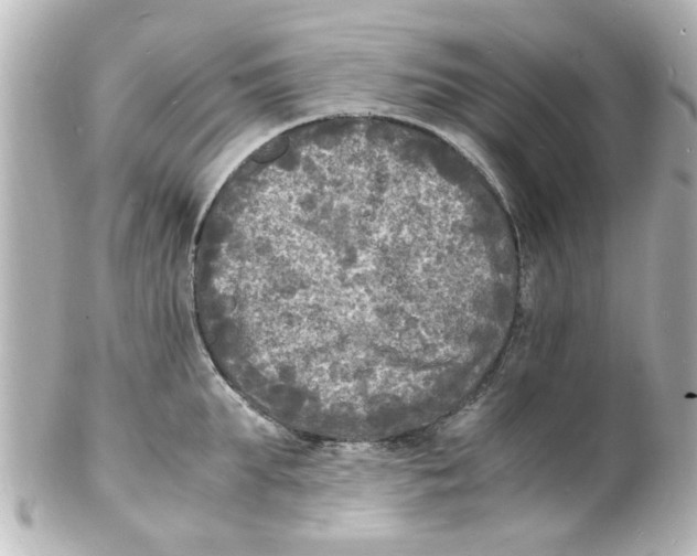 X0000101480903200808041125