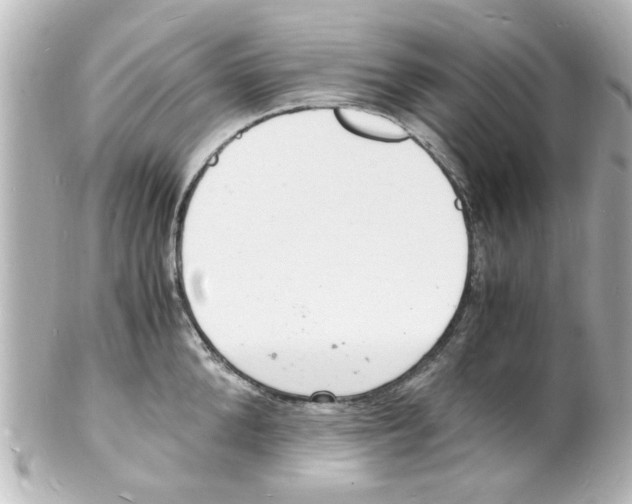 X0000101480904200808041125