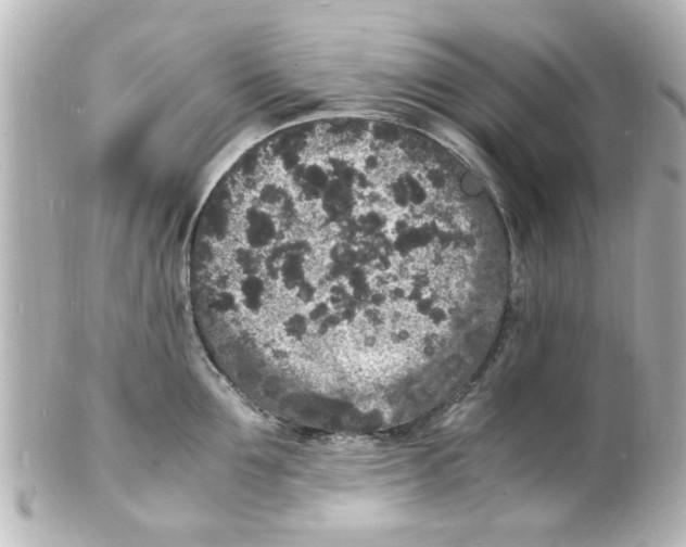 X0000101480907200808041125