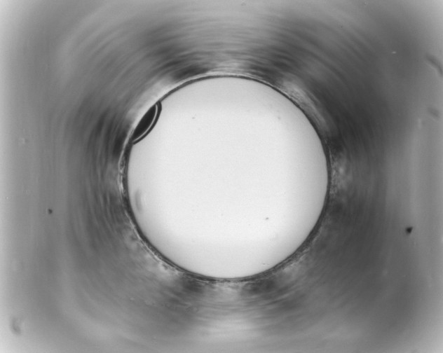 X0000101480908200808041125