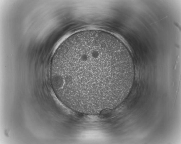 X0000101480911200808041125