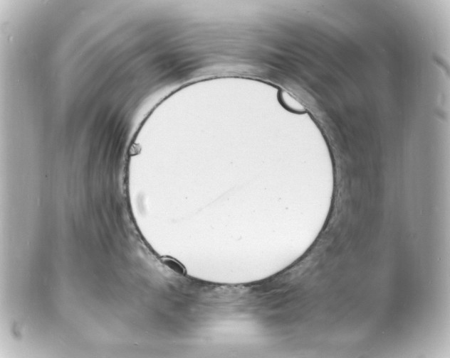 X0000101480912200808041125