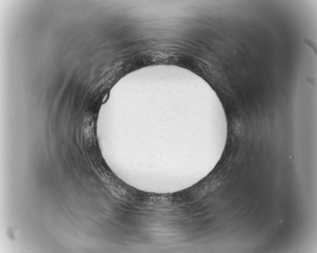 X0000101480914200808041125