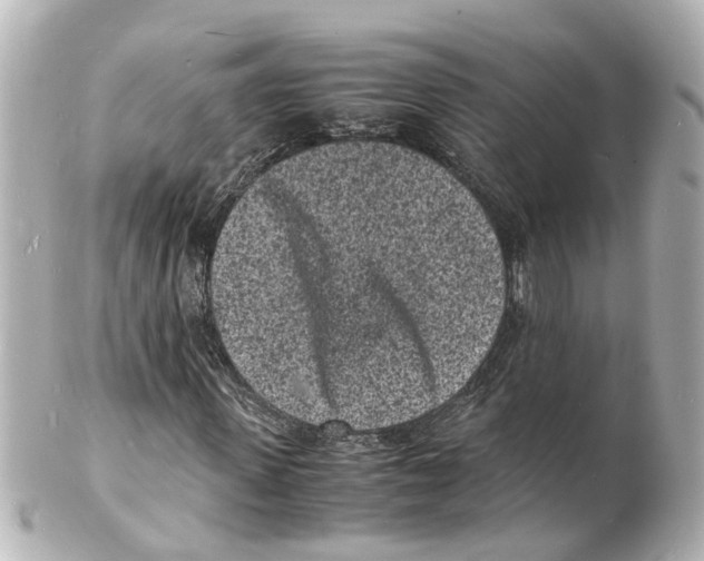 X0000101480915200808041125