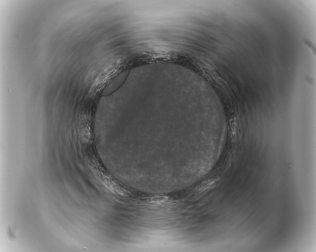 X0000101480916200808041125