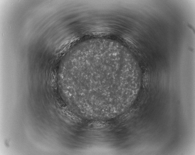 X0000101480917200808041125