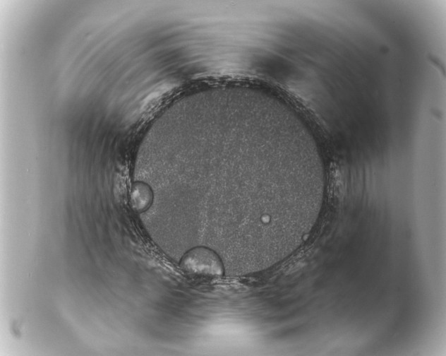 X0000101480918200808041125