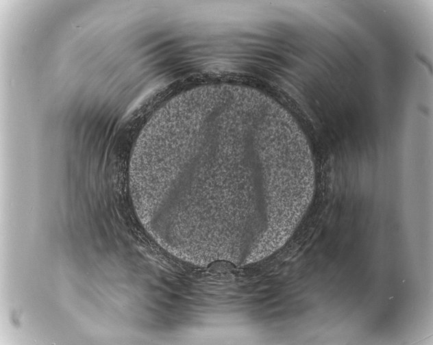 X0000101480919200808041125