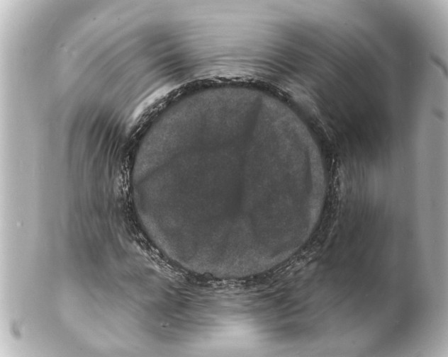 X0000101480920200808041125