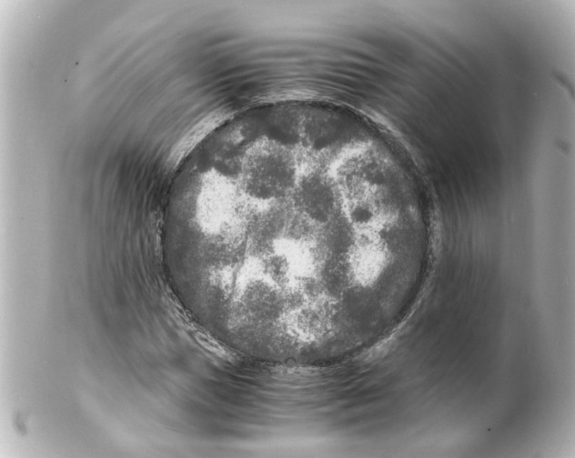 X0000101480921200808041125