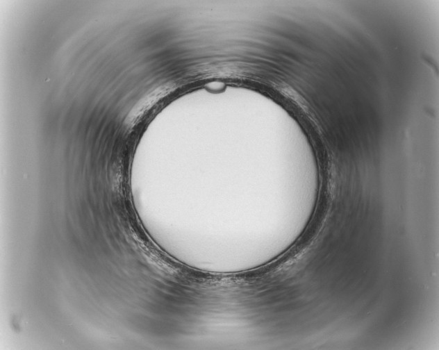 X0000101480922200808041125