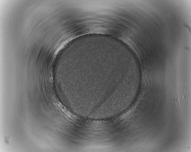 X0000101480923200808041125