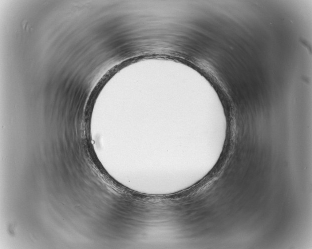 X0000101480924200808041125