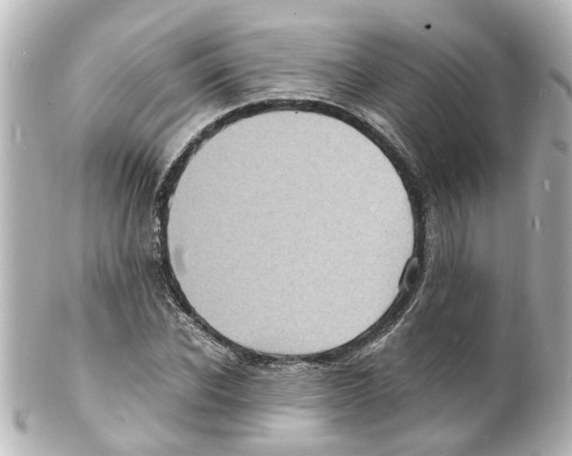 X0000101480926200808041125