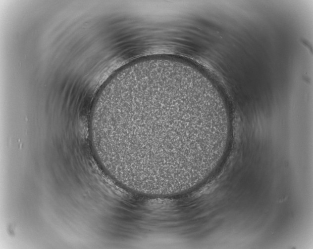 X0000101480929200808041125