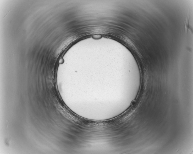 X0000101480930200808041125