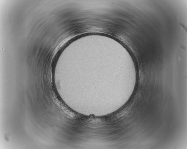 X0000101480931200808041125