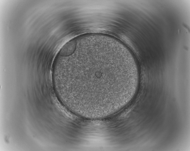 X0000101480932200808041125