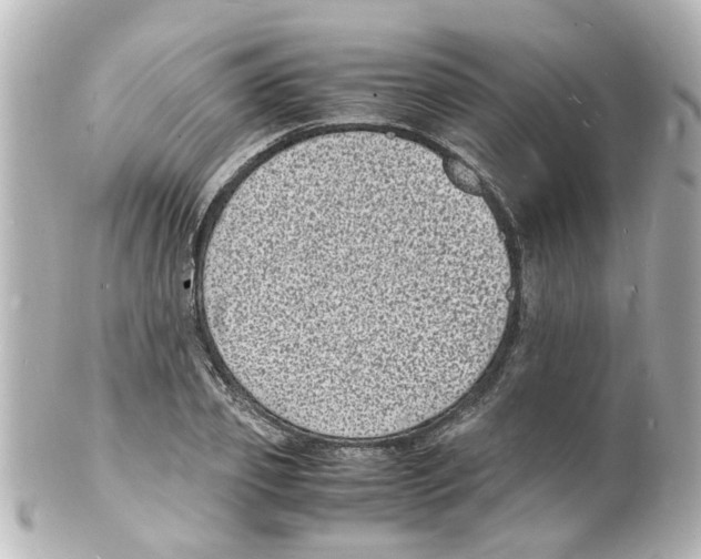 X0000101480933200808041125