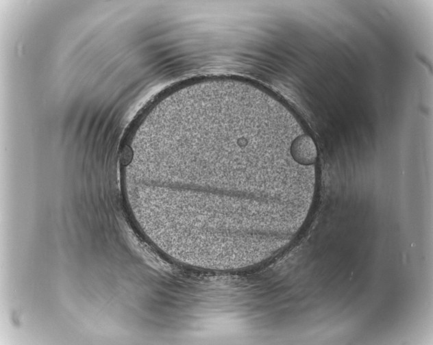 X0000101480934200808041125