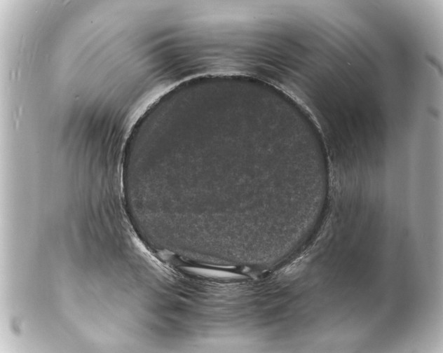 X0000101480935200808041125